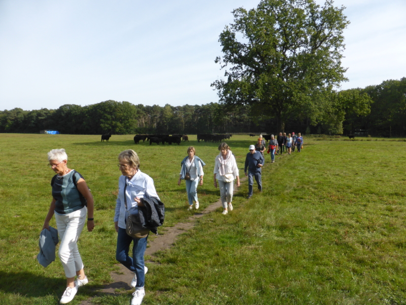 Wandeling Kiewit-Boktrijk 21 september 2021